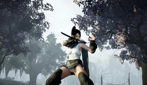 红色沙漠能扑倒殴打女性？玩家需求深度解析