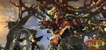 贝尔莎前瞻测试，钢岚子弹飞一会，实战体验抢先看