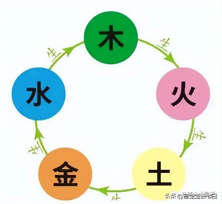 五行修业怎么选最强？揭秘金木水火土隐藏的爆发机制与克制关系
