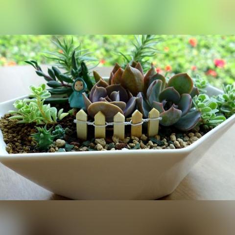 植物大战僵尸2钻石全解析，如何零氪囤积百万钻石？