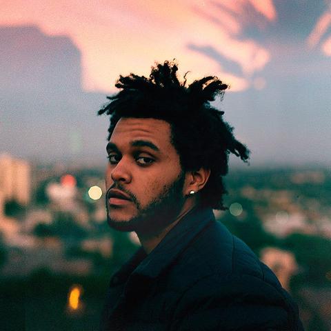 Z-A官网入口在哪？最新Z-A游戏下载与新手实战攻略解析