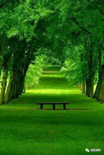 希望OL春约，与绿意萌发的世界相遇