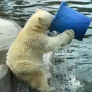 尘白禁区Steam后台更新，是否预示即将回归？