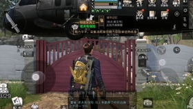 2026彩虹岛私服哪个人气高?怀旧60服与高倍服深度测评 2026彩虹岛私服哪个人气高?怀旧60服与高倍服深度测评