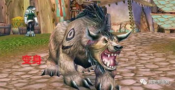 魔兽世界德鲁伊全形态解析，2026大秘境与团本实战指南