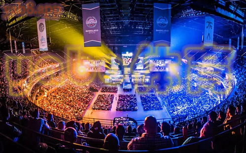 2026中韩大师赛夺冠预测与观赛全攻略，谁能问鼎巅峰？