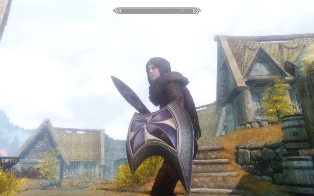 上古卷轴类型深度解析，如何用MOD重塑天际开放世界？