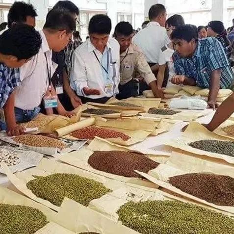 2026年游戏赚钱新风口,揭秘最有前途的虚拟商人职业 2026年游戏赚钱新风口,揭秘最有前途的虚拟商人职业