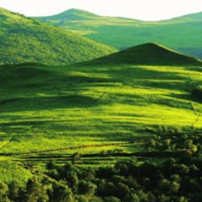 红色沙漠成就全览，3月19日发售，解锁指南必备