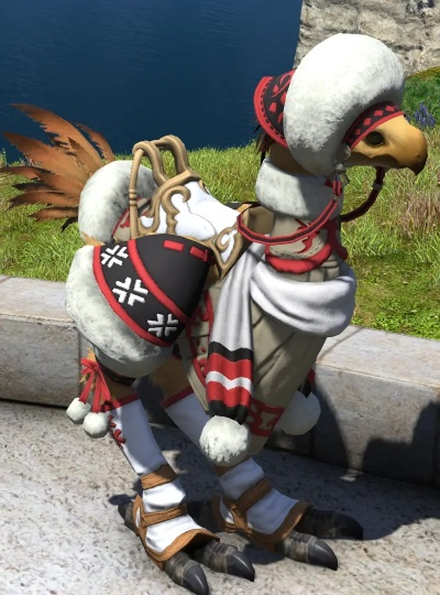 FF14布鸟里类型全解析,稀有布里获取与隐藏外观指南 FF14布鸟里类型全解析,稀有布里获取与隐藏外观指南