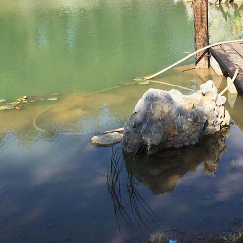 血径迷踪全结局触发机制揭秘，真结局达成路径一览