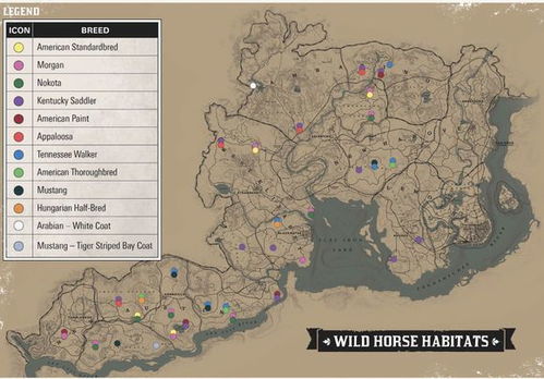 Crimson Desert 研究所全收集指南,高效探索路线 Crimson Desert 研究所全收集指南,高效探索路线