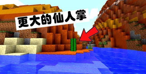 我的世界，传奇 Live 2026年3月公告全览（持续更新）