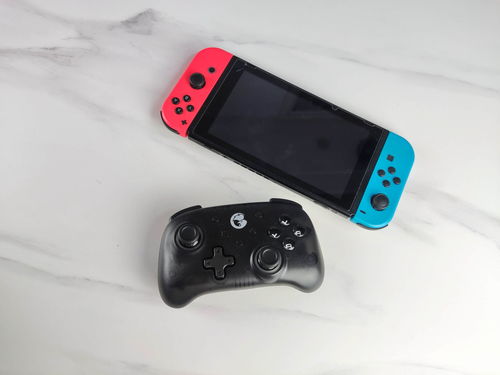 Switch 2入手最佳理由，Pokémon Pokopia现已登场