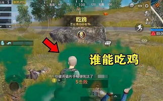 RPG游戏怎么选才不踩雷？深度解析2026年叙事与玩法融合之道