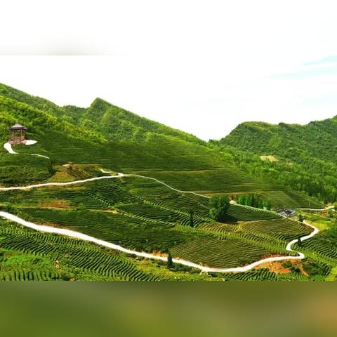 《天下3》忘 川 惊 变 《天下3》忘 川 惊 变