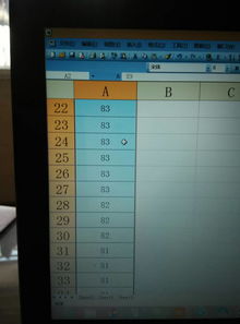 别乱买！Balatro凭证强度排行，这些值得入