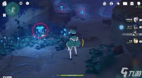 原神钩钩果哪里刷最快？希格雯克洛琳德突破采集路线全攻略