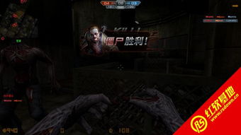 拉登CS框架实战指南，深度解析C2类型与红队配置技巧