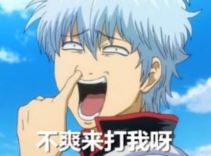 银魂135集猫耳篇怎么过？找回新八眼镜的全流程爆笑解析