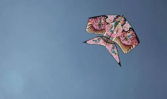 揭秘天角风筝类型,独家实战搭配与稀缺属性全解析 揭秘天角风筝类型,独家实战搭配与稀缺属性全解析