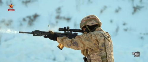CF步枪荣耀版本，个竞步枪回归，步枪手迎春天？