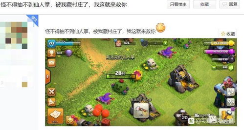 1复刻风堇值得抽吗？抽取分析一图看懂