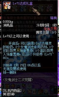 DNF女鬼剑士110级极速升级路书,完美装备过渡与避坑指南 DNF女鬼剑士110级极速升级路书,完美装备过渡与避坑指南