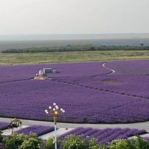 传奇死亡沙漠怎么单刷？揭秘2026年高爆率BOSS打法与生存绝学