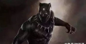 黑豹2定档类型大揭秘，错过首发奖励血亏？