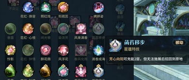 绝区零南宫羽角色攻略一图流，技能解析与实战指南