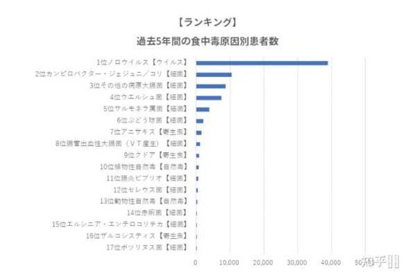 2026赴日玩家生存指南，如何避开集体食物中毒的隐形雷区？
