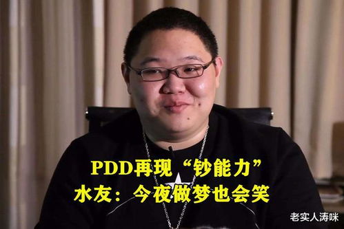 PDD退役类型深度解析，YM魔咒与刘谋转型