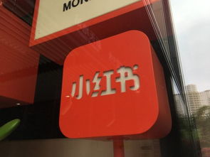 30年校园传闻成真，Pokémon Pokopia玩家在卡车下发现Mew