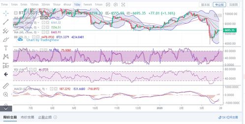 Crimson Desert弓箭挑战全点位指南