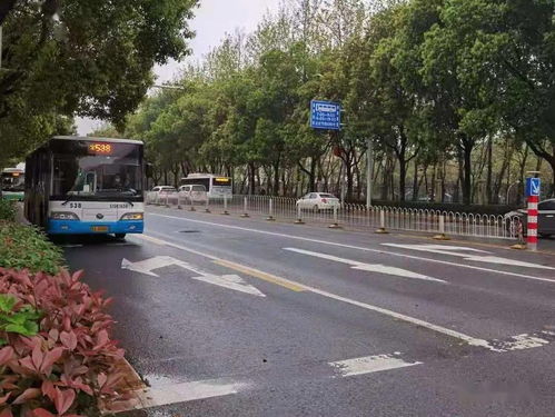 2026年提纳里还能C吗?草系弓箭主C最强配队与毕业面板 2026年提纳里还能C吗?草系弓箭主C最强配队与毕业面板