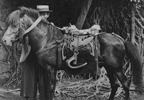 Crimson Desert: 获取布里安托马匹指南