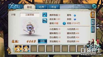 蛇谷探秘隐藏入口在哪？保姆级通关教学带你拿满稀有奖励