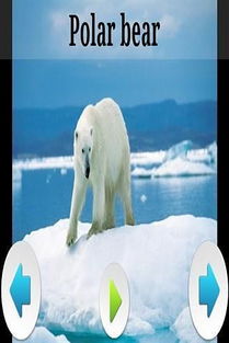 Dangerous Animals上线流媒体，鲨鱼惊悚新标杆，超越大白鲨的恐惧