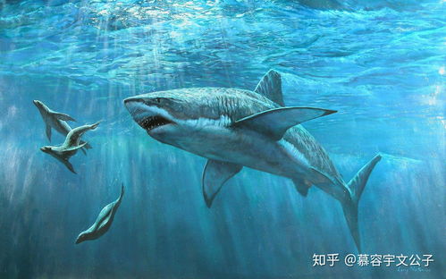 大白鲨之后，Dangerous Animals成鲨鱼电影新惊悚标杆