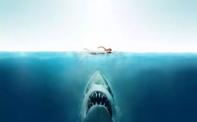 Dangerous Animals上线流媒体，鲨鱼惊悚新作，直面深海恐惧