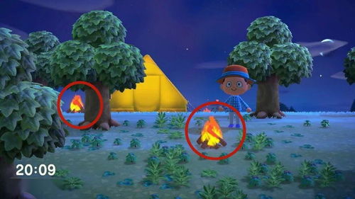 航平谜之岛全攻略，集合啦！动物森友会隐藏岛屿解锁指南