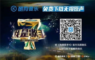 揭秘WPC总决赛夺冠内幕，从卫星赛到巅峰对决的实战攻略