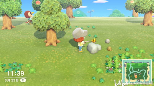 航平谜之岛全收集,动物森友会岛屿探索指南 航平谜之岛全收集,动物森友会岛屿探索指南