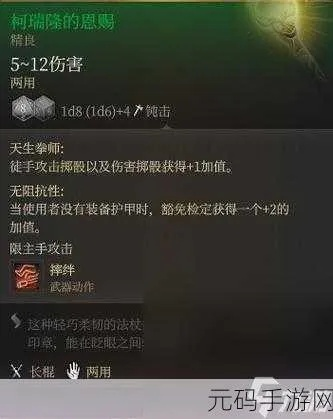 博德之门3武僧装备指南,最优搭配解析 博德之门3武僧装备指南,最优搭配解析