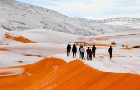 圣诞节前别碰红色沙漠，最佳游玩时机解析