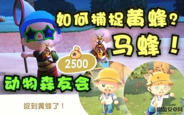 动森黄蜂总是被蛰？2026年最新零失误抓捕与变现全攻略