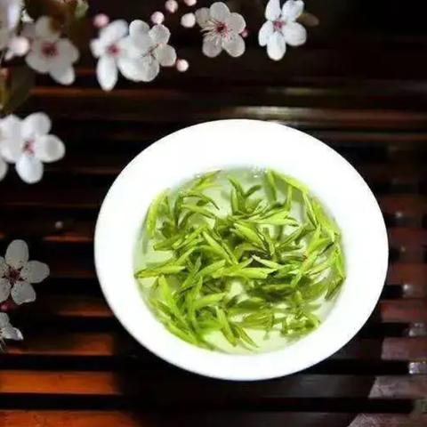 千年之约手游最强职业选谁？新手开局避坑与隐藏地图速通攻略