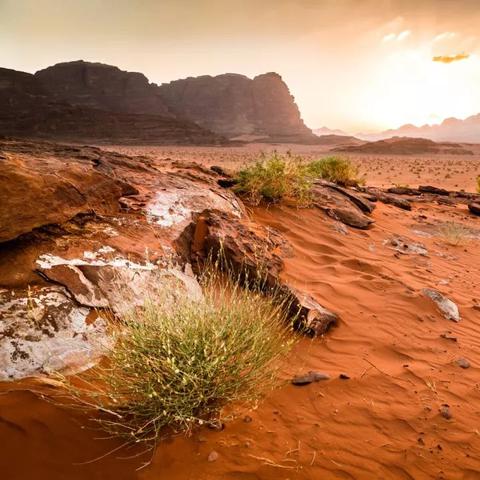 《红色沙漠》更新加快快速旅行速度 《红色沙漠》更新加快快速旅行速度