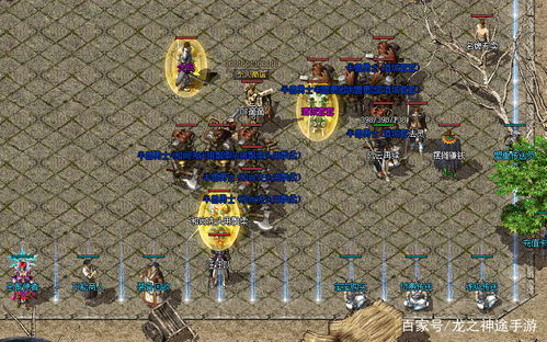 2026年传奇外传SF哪里人多?独家揭秘高爆单职业攻略 2026年传奇外传SF哪里人多?独家揭秘高爆单职业攻略